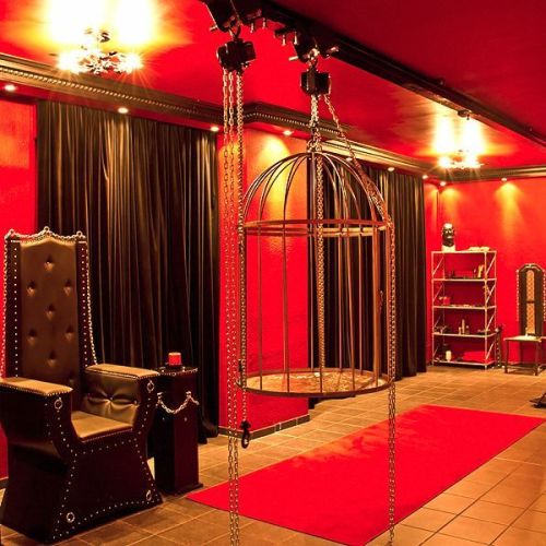 Galeriebild 9 von Kinky Revolution