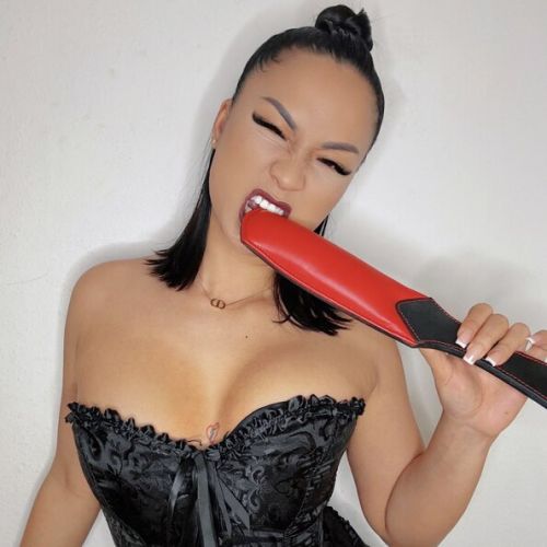 Galeriebild 8 von Lady Akita