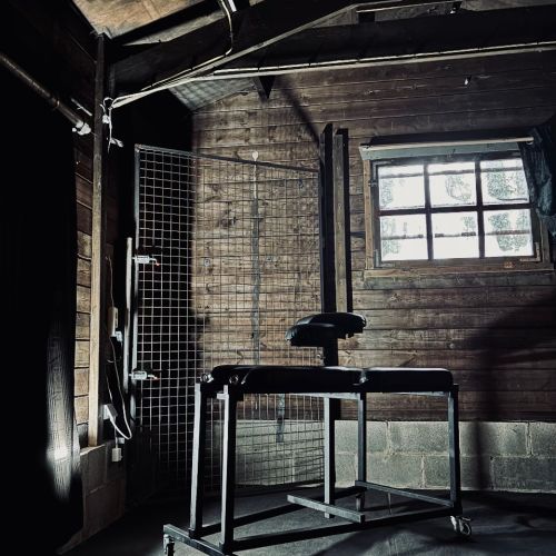 Galeriebild 6 von Mistress Henriette