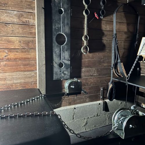 Galeriebild 7 von Mistress Henriette