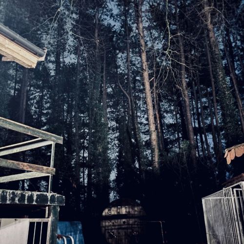 Galeriebild 6 von Mistress Henriette