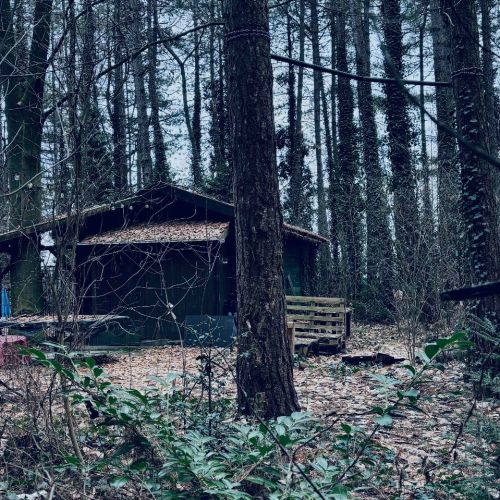 Galeriebild 5 von Mistress Henriette