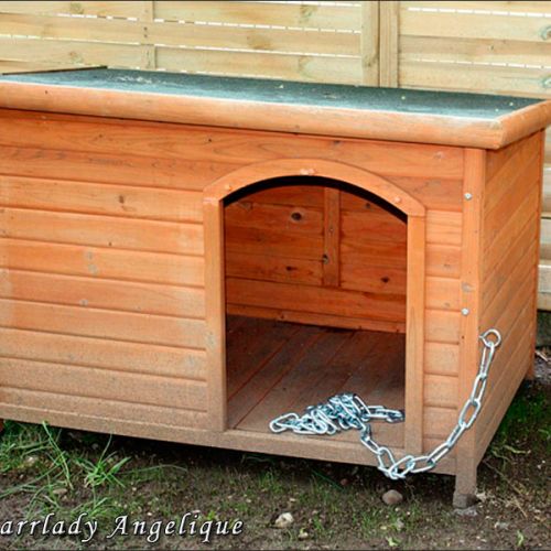 Galeriebild 13 von Privatstudio und Klinik