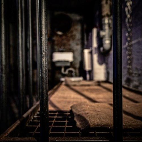 Galeriebild 5 von Novem Viginti